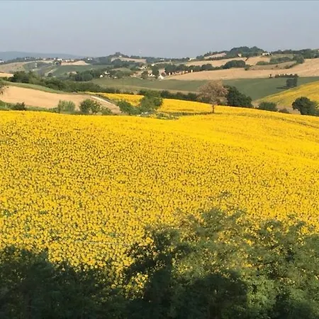 Villa Al Poggio